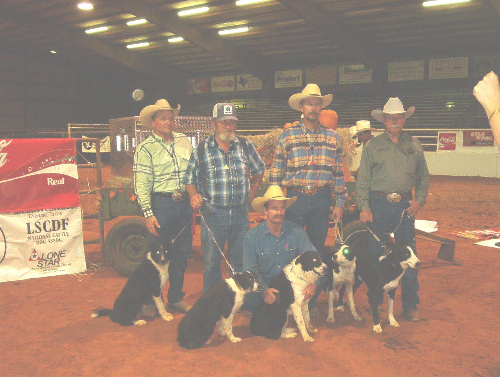 Ben as a 2004 Lone Star Cattle Dog Futurity Maturity finalist