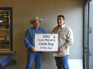 Rudy being recognized as Nursery Dog of the Year at the 2002 Texas Cattle Dog Finals