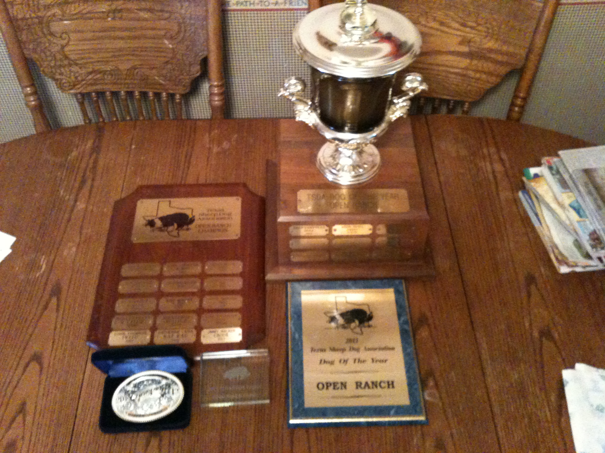 Trophy display for Brock, Open Ranch Dog of the Year in the Texas Sheepdog Association